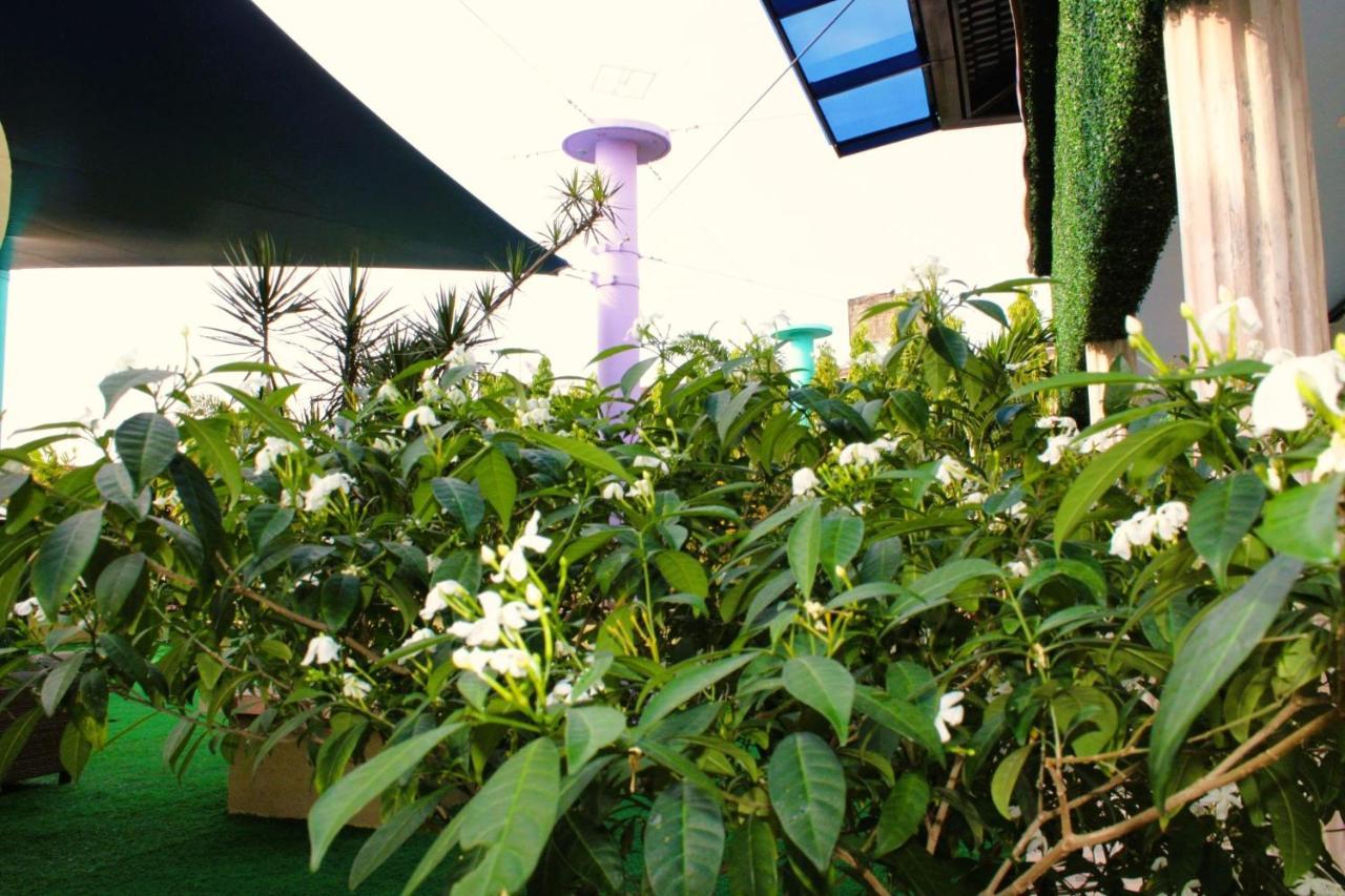 Hotel Casa Miller Πόλη του Παναμά Εξωτερικό φωτογραφία